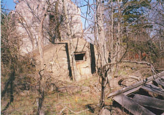  Root Cellar 