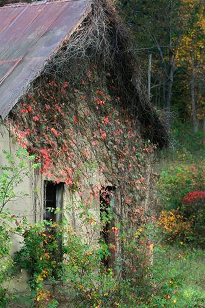 Walnut Grove School - 2011